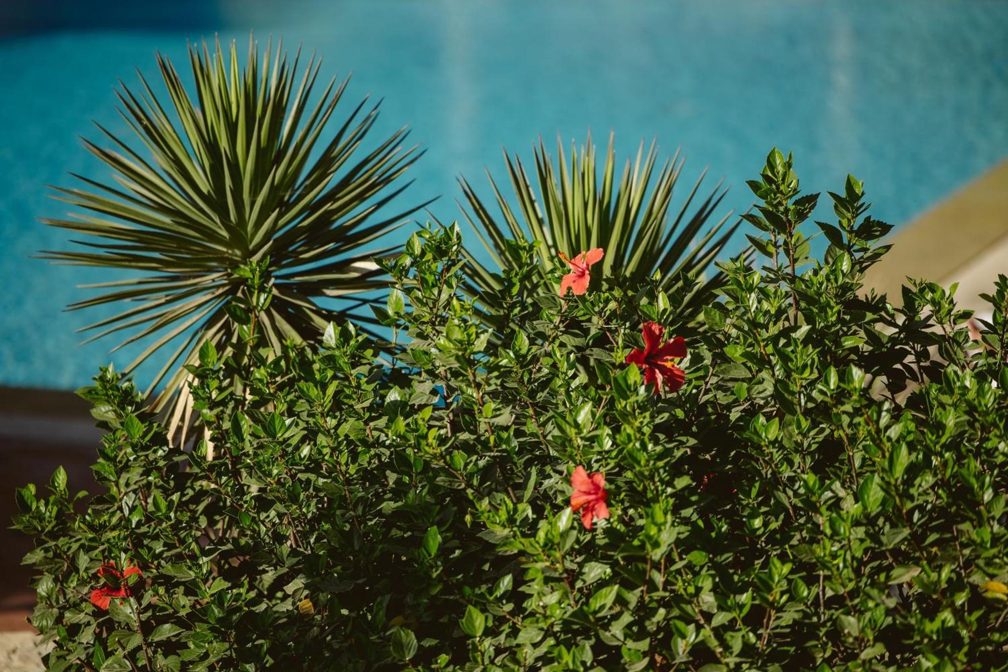 Dar Maktoub Bed & Breakfast Agadir Dış mekan fotoğraf