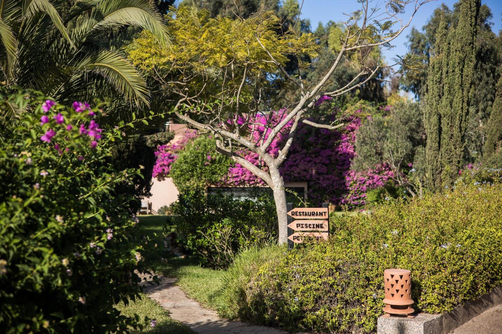 Dar Maktoub Bed & Breakfast Agadir Dış mekan fotoğraf